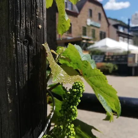 بيت ضيافة Rosenberg 3*