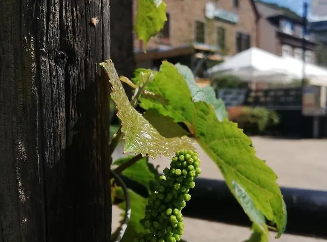 Гостевой дом Rosenberg 3*